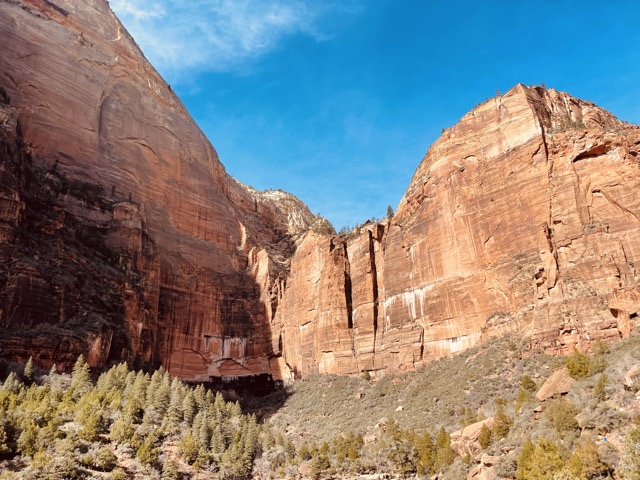 The Grotto