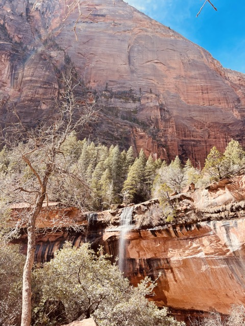 The Grotto
