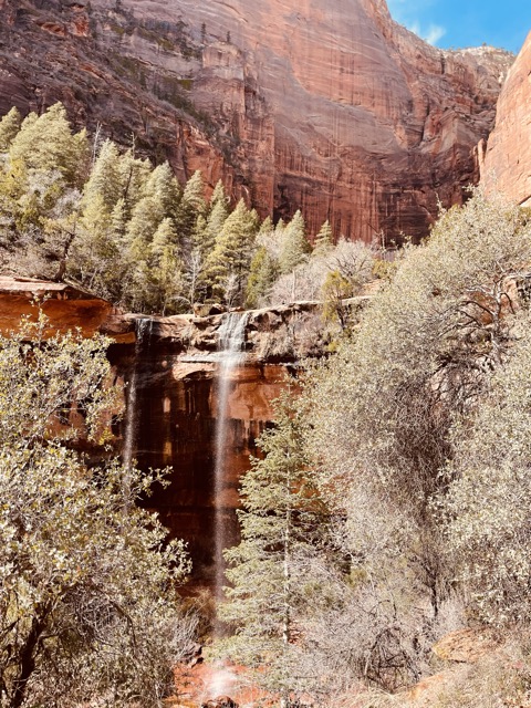 The Grotto