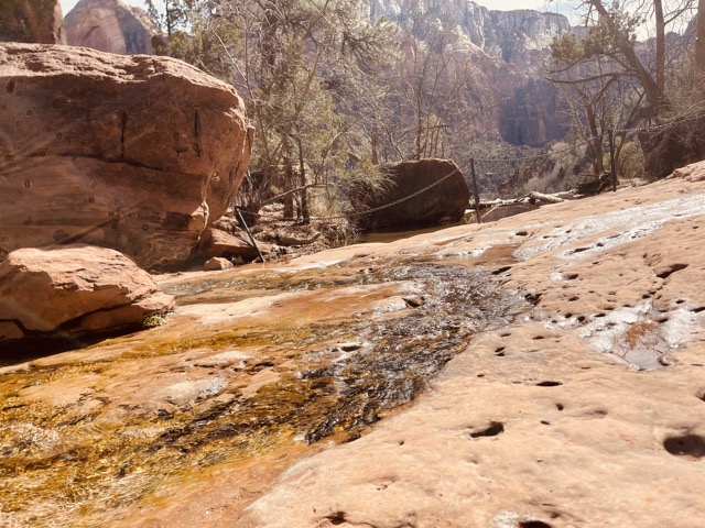 The Grotto