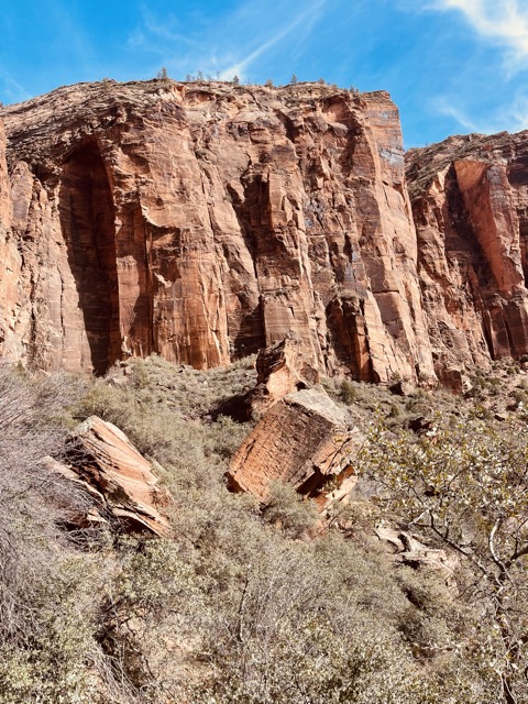 The Grotto