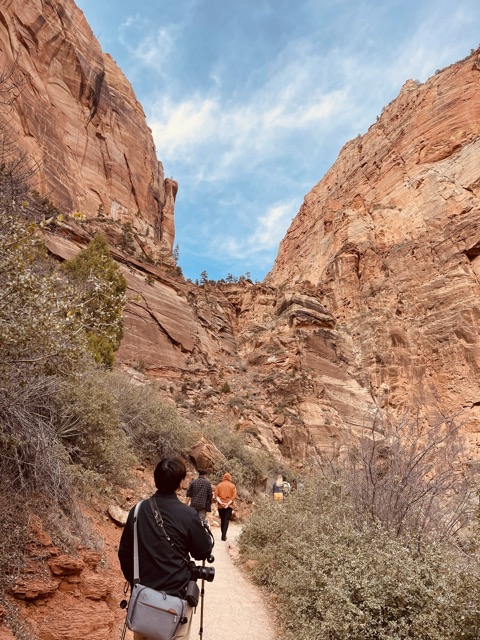 Scout Lookout
