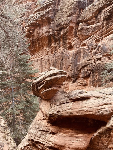 Scout Lookout