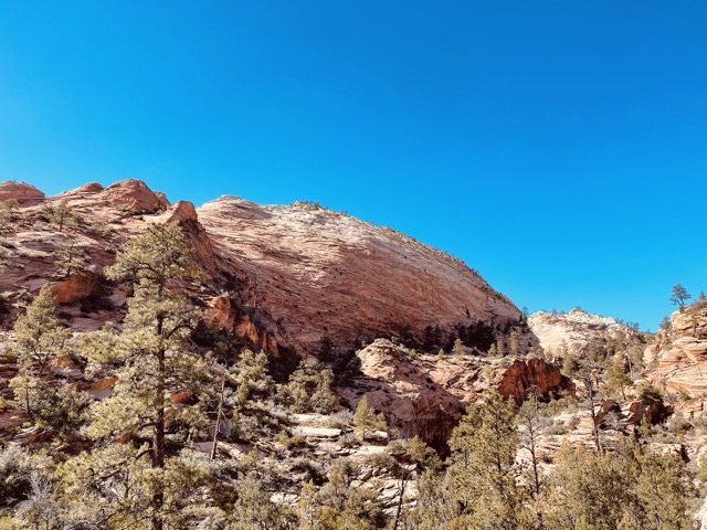 Canyon Overlook Trail