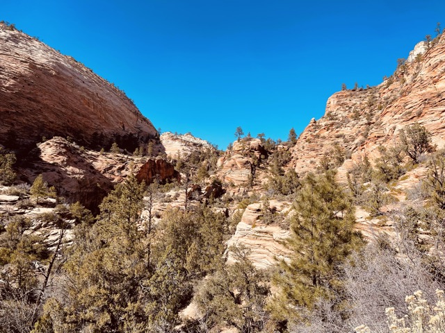 Canyon Overlook Trail