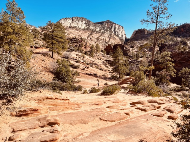 Zion Tunnel