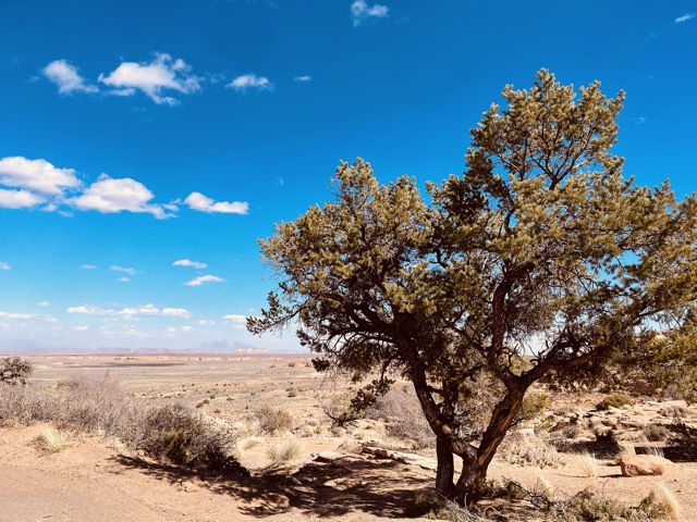 Marble Canyon