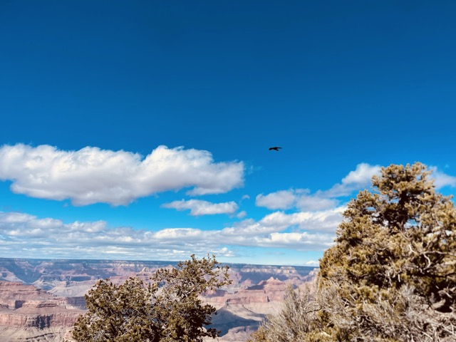 Lipan Point