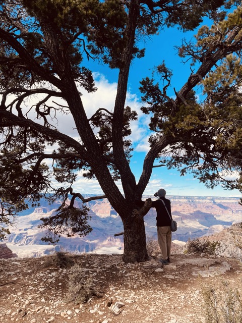 South Kaibab Trailhead