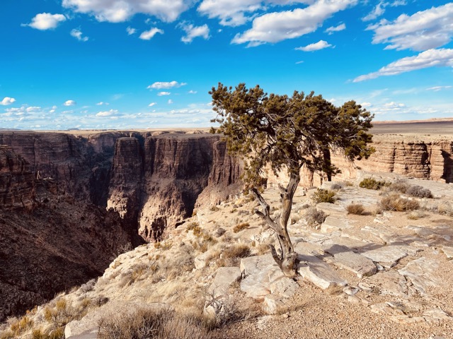Cameron Trading Post