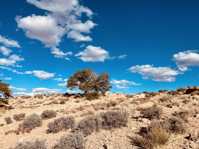 Cameron Trading Post