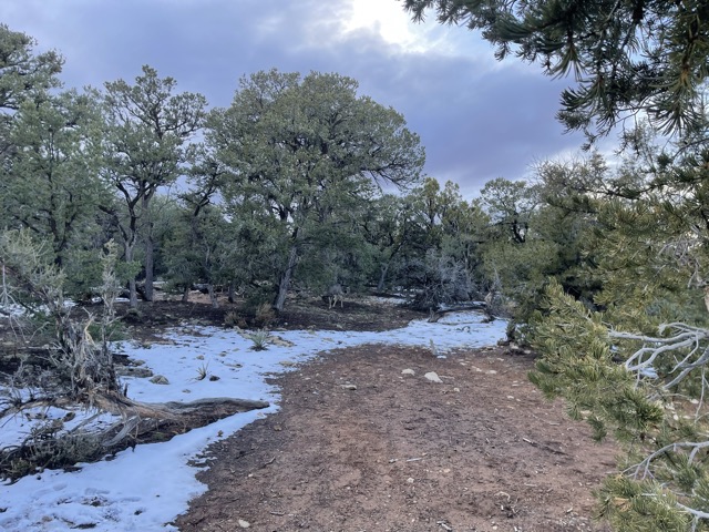 Mather Point